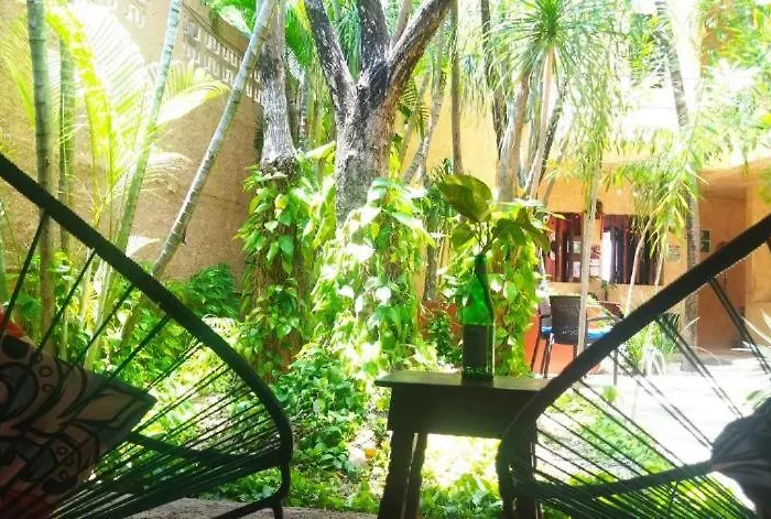 Beautiful Dbl Bed In The Heart Of Pdc Playa del Carmen