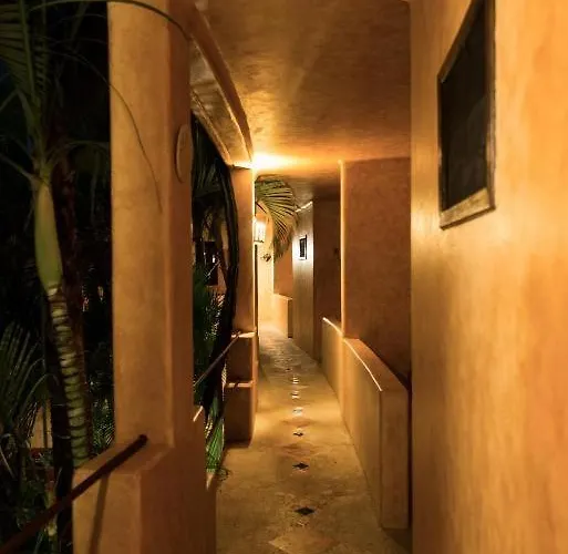 Beautiful Dbl Bed In The Heart Of Pdc * Playa del Carmen